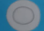 <p>State the name, function and special feature(s) of the image.</p>