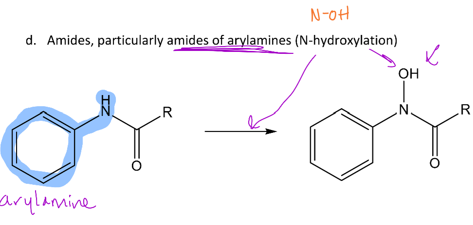 <p>N-oxidation of amides can also occur <em>usually when the amide is bound to an aryl group</em></p><p>-This reaction will add an OH group to the nitrogen of the amide</p>