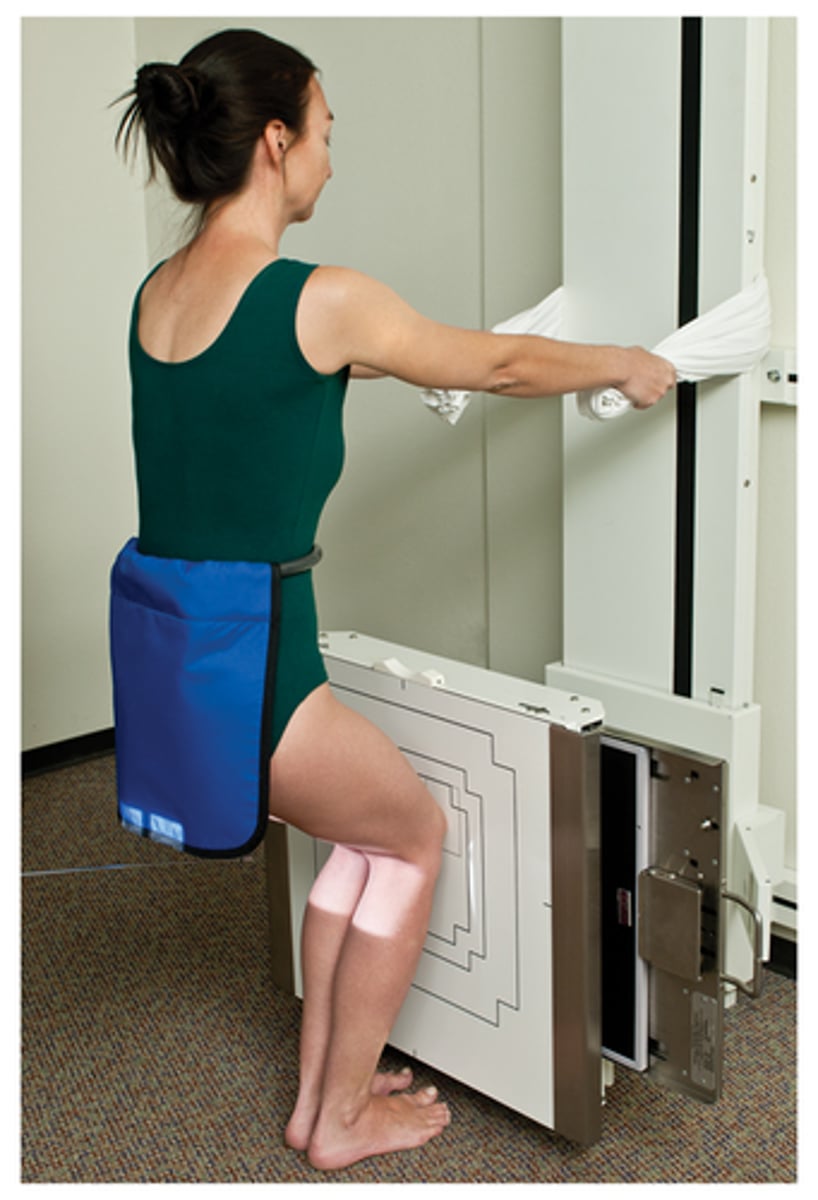 <p>PA axial weight-bearing bilateral knee projection knee</p>