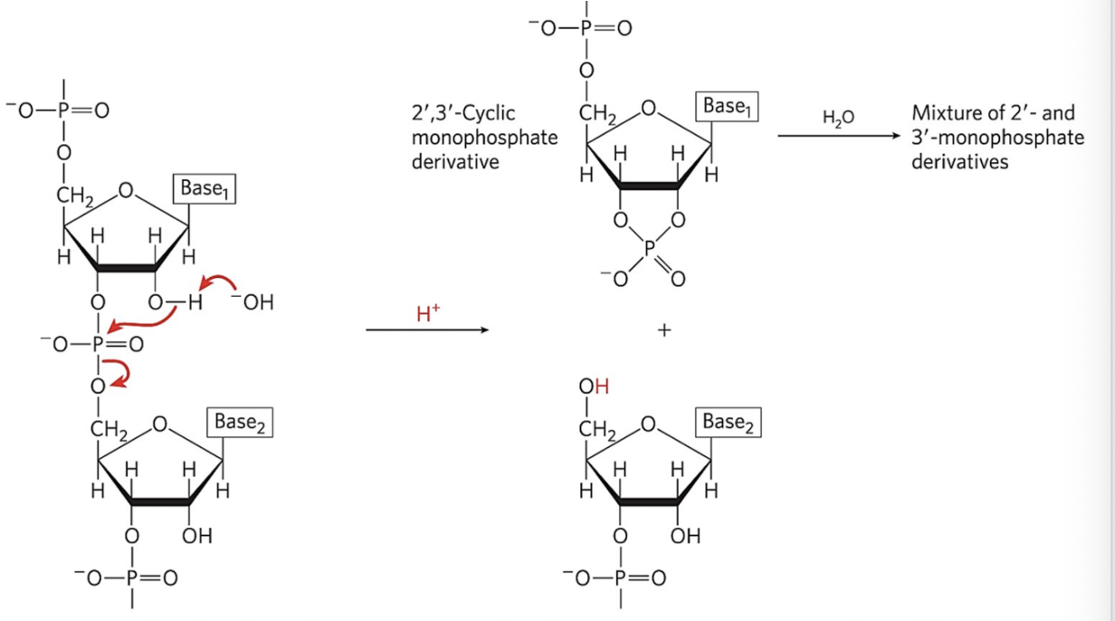 <p>Examine the reaction in the illustration and determine the reaction speed.</p>
