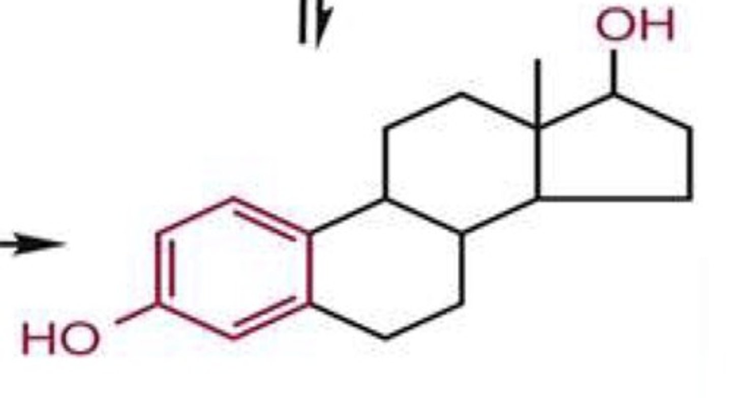 <p>What is this structure and what path is it made by</p>