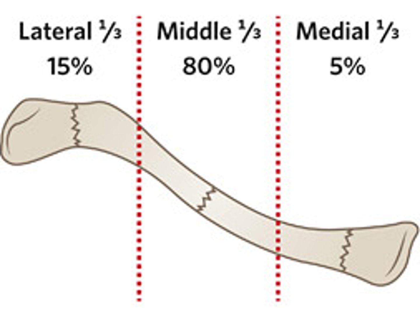 <p>Middle third</p>