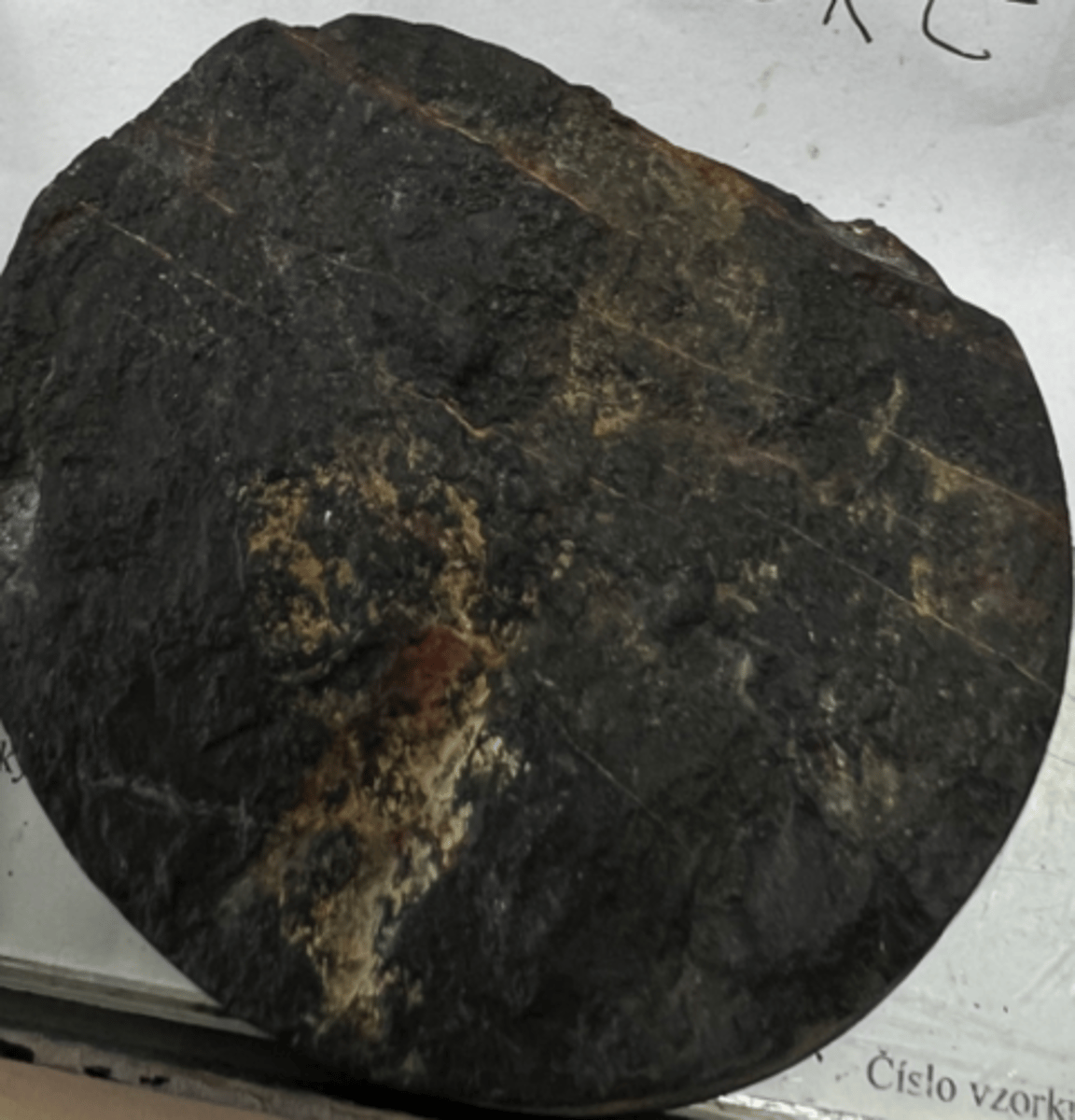 <p>sedimentary rock containing a mix of clay, silt, and sand sized particles <br>It can undergo metamorphism to become paragneiss</p>