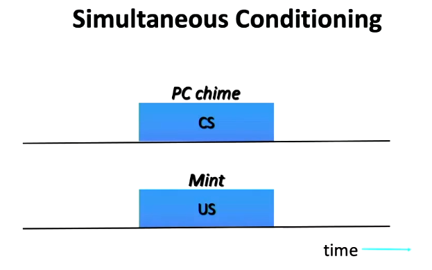 <ul><li><p>CS and US delievered at same time</p><ul><li><p>Food and whistle presented at the exact same time</p></li></ul></li></ul><p></p>