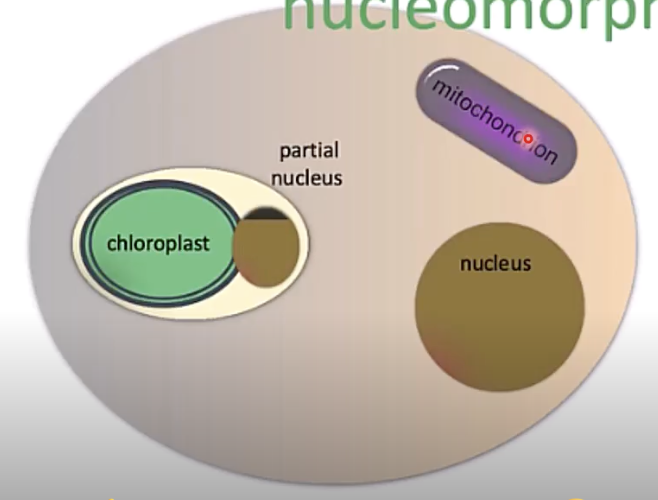 <p>how many genomes ?</p>