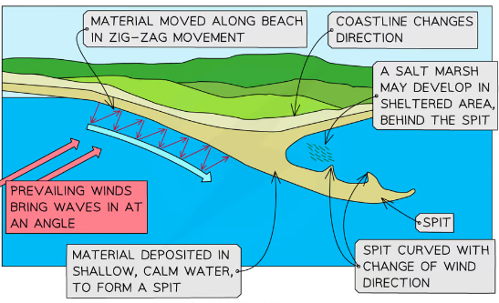 <p>Begins with the <mark data-color="green">process of LSD </mark>that <mark data-color="green">moves sediment along the coast</mark>. As waves hit the shore at an angle, the <mark data-color="green">swash carries sediment up the beach</mark>, and the <mark data-color="green">backwash pulls it back down due to gravity.</mark> When the <mark data-color="green">coastline changes direction </mark>or <mark data-color="green">current slows down</mark>, sediment begins to <mark data-color="green">accumulate </mark>and<mark data-color="green"> extend outwards </mark>- forming a <mark data-color="green">hook</mark>. The end of the spit may <mark data-color="green">curve inward</mark> due to <mark data-color="green">change in wind direction</mark> - forming a <mark data-color="green">spit </mark>with a <mark data-color="green">saltmarsh </mark>behind it.</p>