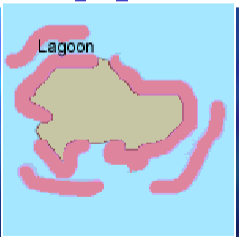 \
it is directly attached to the shore of a volcanic island or continent. Types of Coral Reefs