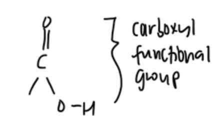 <ul><li><p>org compounds with carboxyl functional grp (hydroxyl attached to carbonyl C)</p></li><li><p>R — COOH</p></li><li><p>C<sub>n</sub>H<sub>2n</sub>O<sub>2</sub></p></li></ul><p></p>