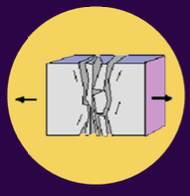 <p><strong>3 TYPES OF STRESS:</strong></p><p>occurs when tectonic plates are <strong>pulled apart</strong>, resulting in a thinner crust</p><ul><li><p>ex. East African Rift (or rift valleys in general)</p></li></ul><p></p>