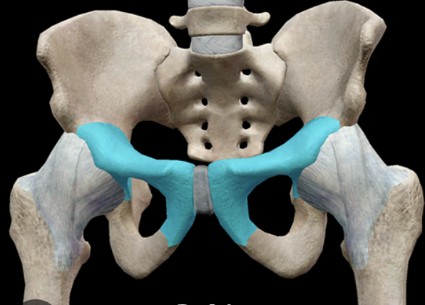 <p>what is this part called </p>