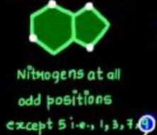 <p>the first, third, seventh, and ninth members are nitrogen</p>