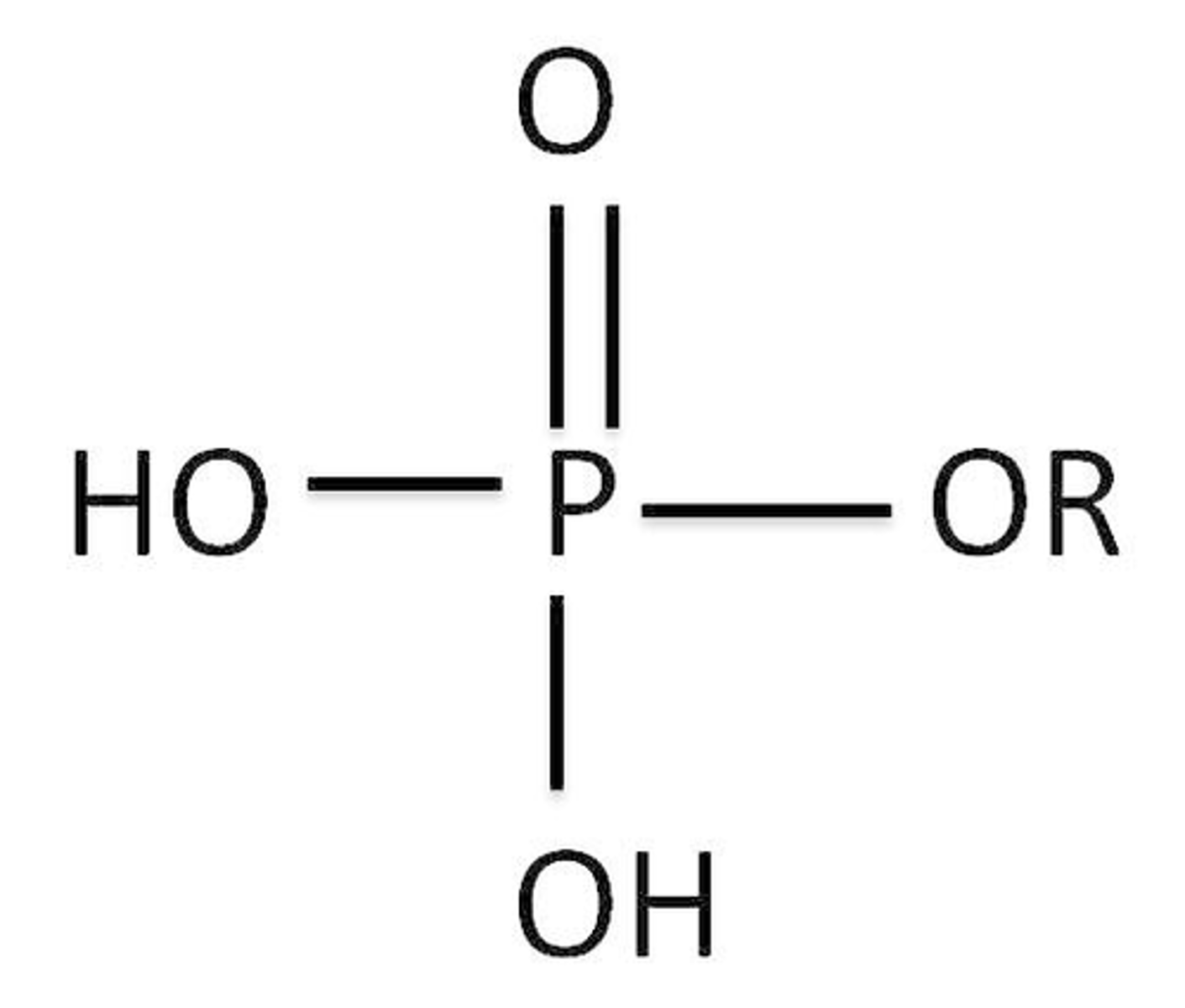 <p>contain a phosphoryl group bonded to a carbon</p>