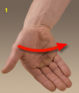 <p>What movement is this?</p>