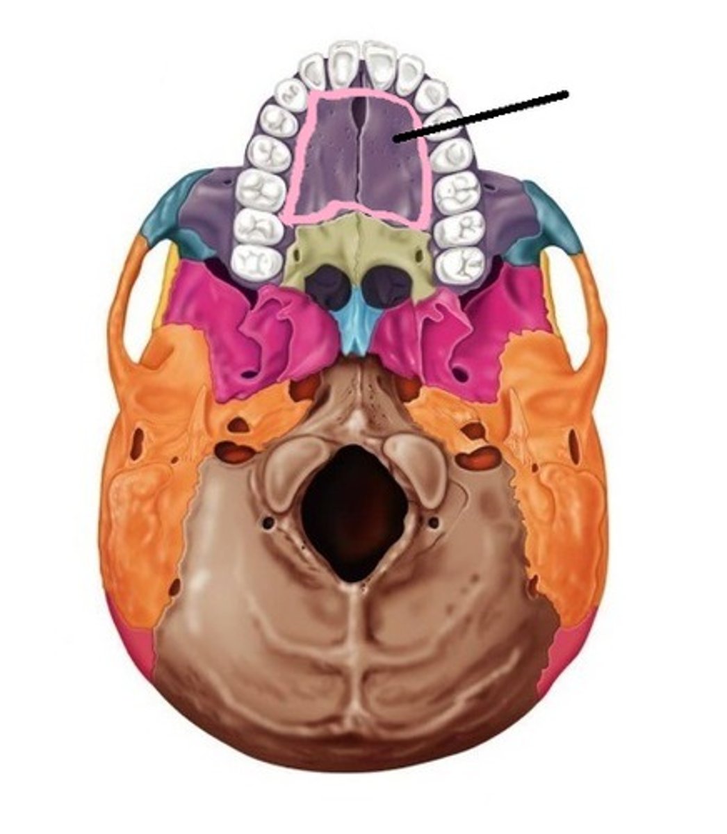 knowt flashcard image