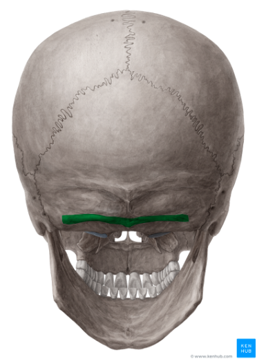knowt flashcard image