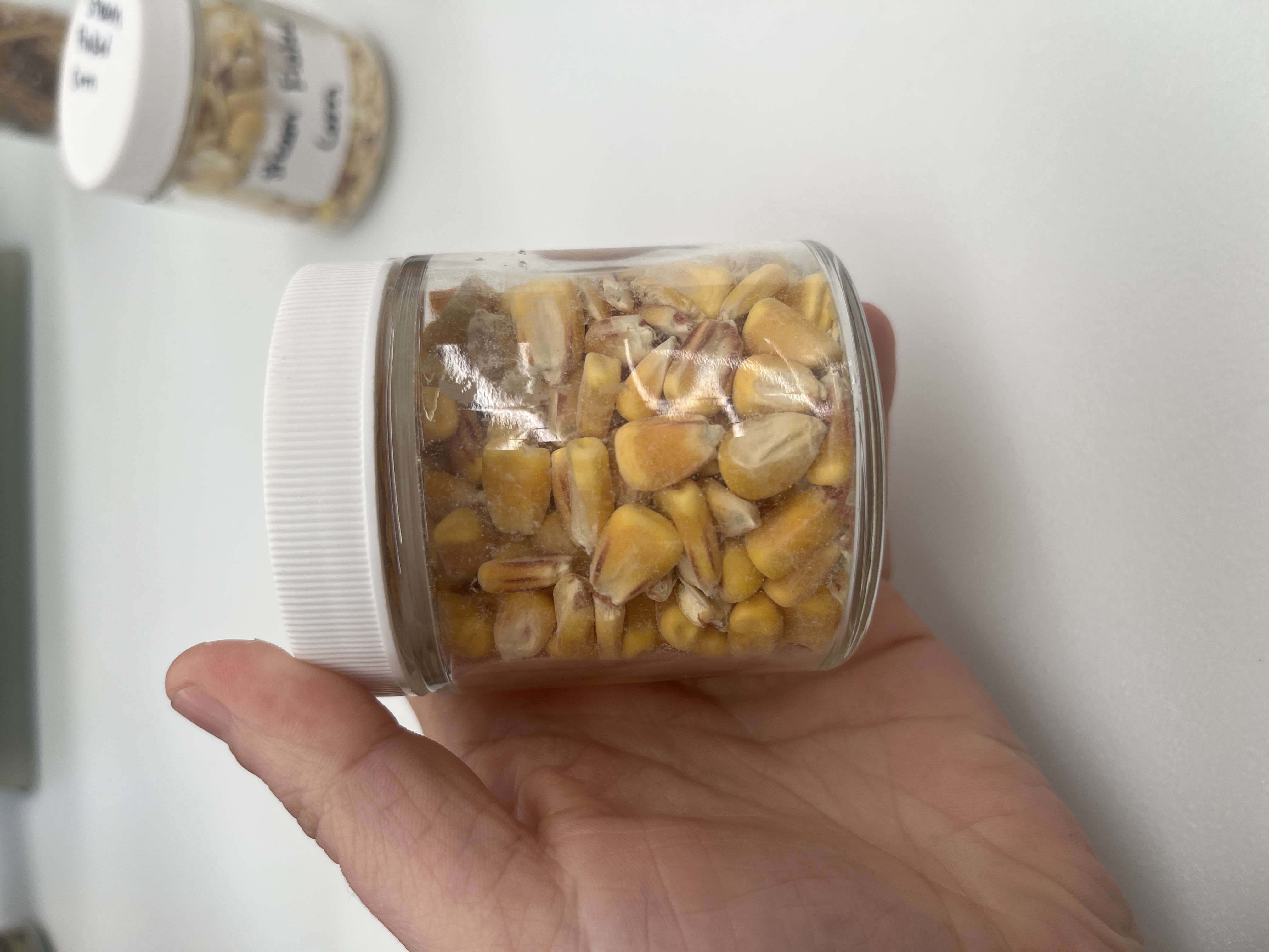 <p>what feed is this?</p>