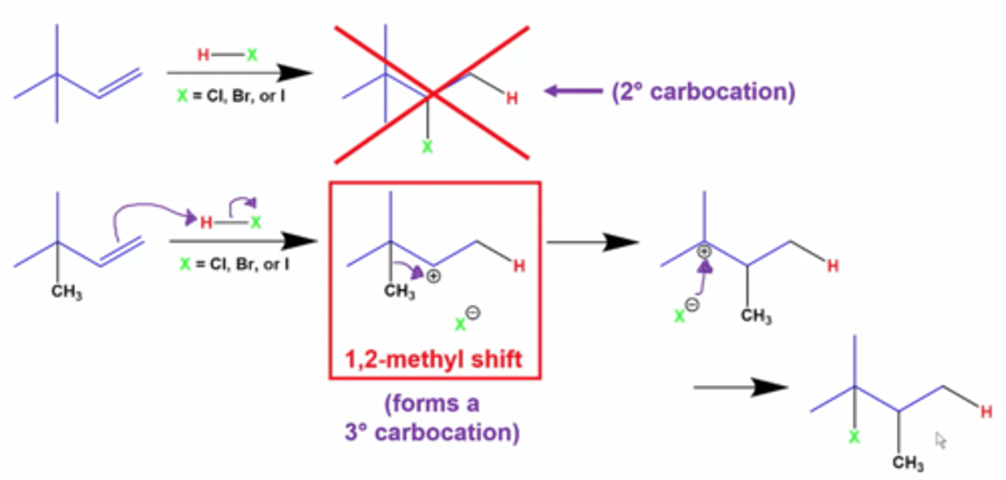 <p>Occurs to produce a more stable carbocation</p><p>Can occur in any reaction (electrophilic addition, hydration, etc)</p>