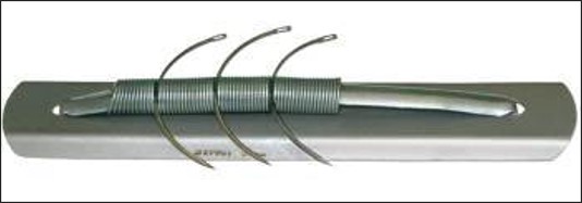 <p>name of instrument</p>