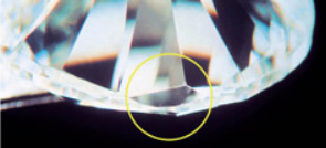 <p>What blemish is this?</p>