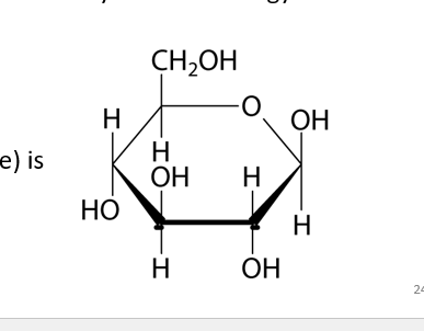 <p>The breakdown of sugar molecules to produce energy for cellular reactions </p><p><strong>GLUCOSE</strong> is the most common carbohydrate for energy </p><p>(broken down for energy) </p><ul><li><p>6 Carbon sugars has lots of energy in forms of electrons </p></li></ul><p></p>