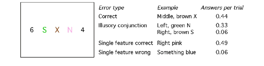 <p>Illusory conjunctions—Treisman &amp; Schmidt, 1982</p>