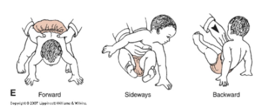 <p><strong>Middle Infancy, 4-6 mo: </strong>Protective Response, Parachute RXN <span data-name="parachute" data-type="emoji">🪂</span></p>