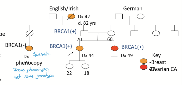 <p>When the phenotype is present without the genotype. </p>