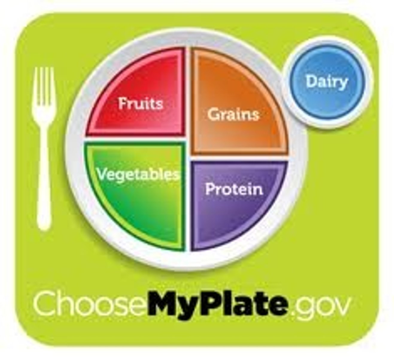 <p>fruits, vegetables, grains, protein, &amp; dairy</p>