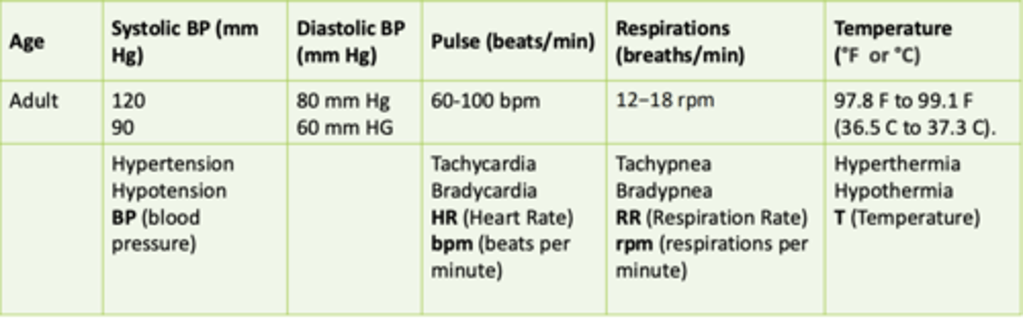 <p>60-100 bpm</p>