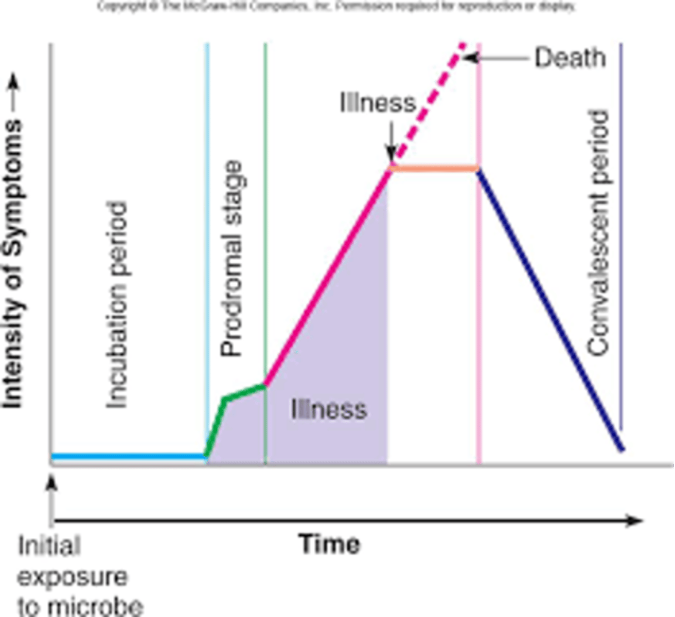 <p>Incubation: Pathogen begins active replication, asymptomatic. Timing can be short (Salmonella food poisoning 6-24 hours vs HIV can be years); dependent on host immune system, dose, and method of infection</p><p>Prodrome: Initial appearance of non-specific symptoms in host. Constitutional symptoms (infectious disease): mild fever, myalgia, headache, fatigue (inflammatory response)</p><p>Acute stage: Rapid proliferation of pathogen. Immune response results in tissue damage and inflammation. (max impact; specific symptoms) </p><p>Convalescent stage: progressive elimination and tissue repair. </p><p>Resolution: complete elimination fo the pathogen; no residual symptoms </p>
