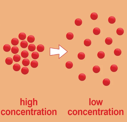 <p>movement of particles from high to low concentration</p>