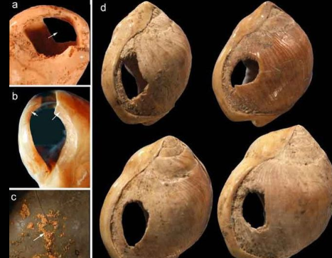 <p>What are these objects? What do they show about early humans?</p>
