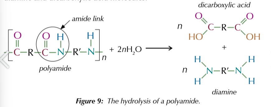 <p>n [polyamide] + 2n[H<sub>2</sub>O] → n [dicarboxylic acid] + n [diamine]</p>