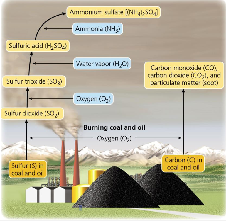 Process of burning coal and oil 