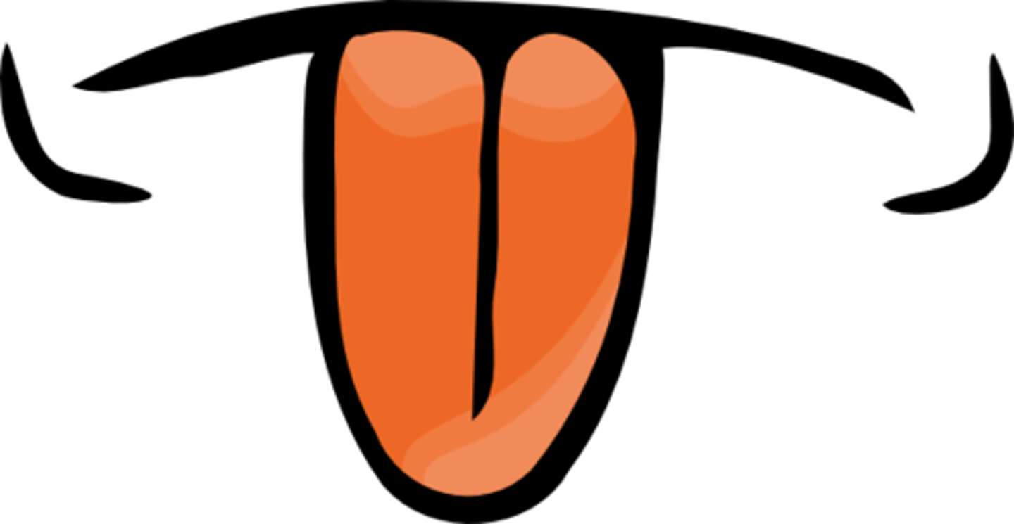 <p>tongue / Lưỡi (Cái)</p>