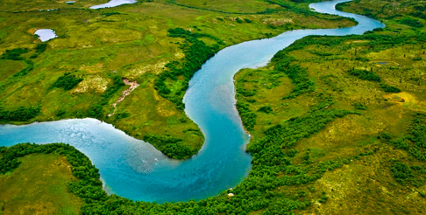 <p>(yì tiáo)</p><p>measure word for long things such as rivers, fish, pants and dress, boats</p>