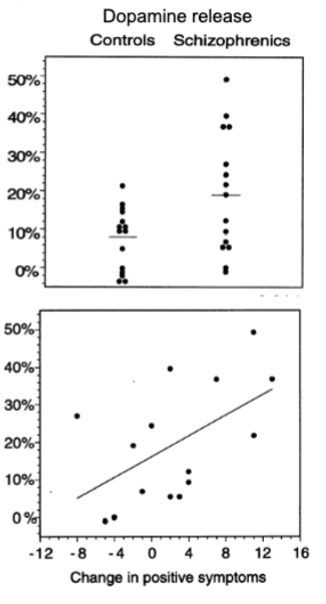 <p>all drugs that are effective in treating psychosis block D2 receptors to some degree - how?</p><ul><li><p>more D2 receptors with schizophrenia? Unlikely (changes may be due to chronic antipsychotic medication upregulating DA receptors</p></li><li><p>more DA being released? giving amphetamine to a schizophrenia and a control sample resulted in greater DA release in striatum in those w schizophrenia</p></li></ul><p>DA release may be hypersensitive in schizophrenia</p><p></p>