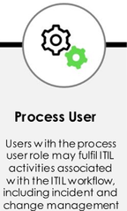 <p>Grants a user who has clearly defined paths and workflows in the platform and have one or more roles, including itil and approver_user</p>