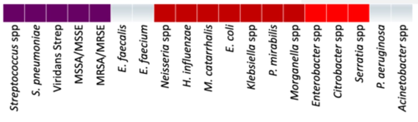 <p>• Anaerobes: +/- (oral anaerobes)</p><p>• Miscellaneous: </p><p>- Not activity against ESBLs</p><p>- Poor activity against AmpC</p><p>• Used for deep-seated MRSA off label </p><p>• Coverage - Basically 3rd generation cephalosproin coverage from Neisseria to Morganells with full coverage for MSSA/MSSE and MRSA/MRSE</p>