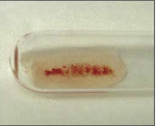 <p>Haemagglutination reaction</p>
