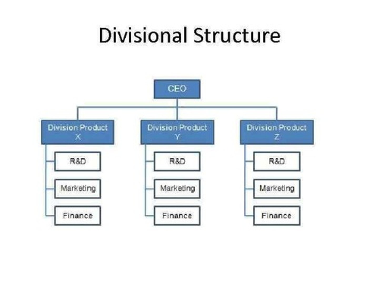 <p>A system where the business is divided into segments by product, market, or geography.</p>