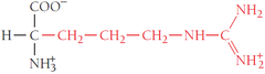 <p>Side chain is another name for an R group, and is a group of atoms attached to the main part of a molecule and having a ring or chain structure.</p>