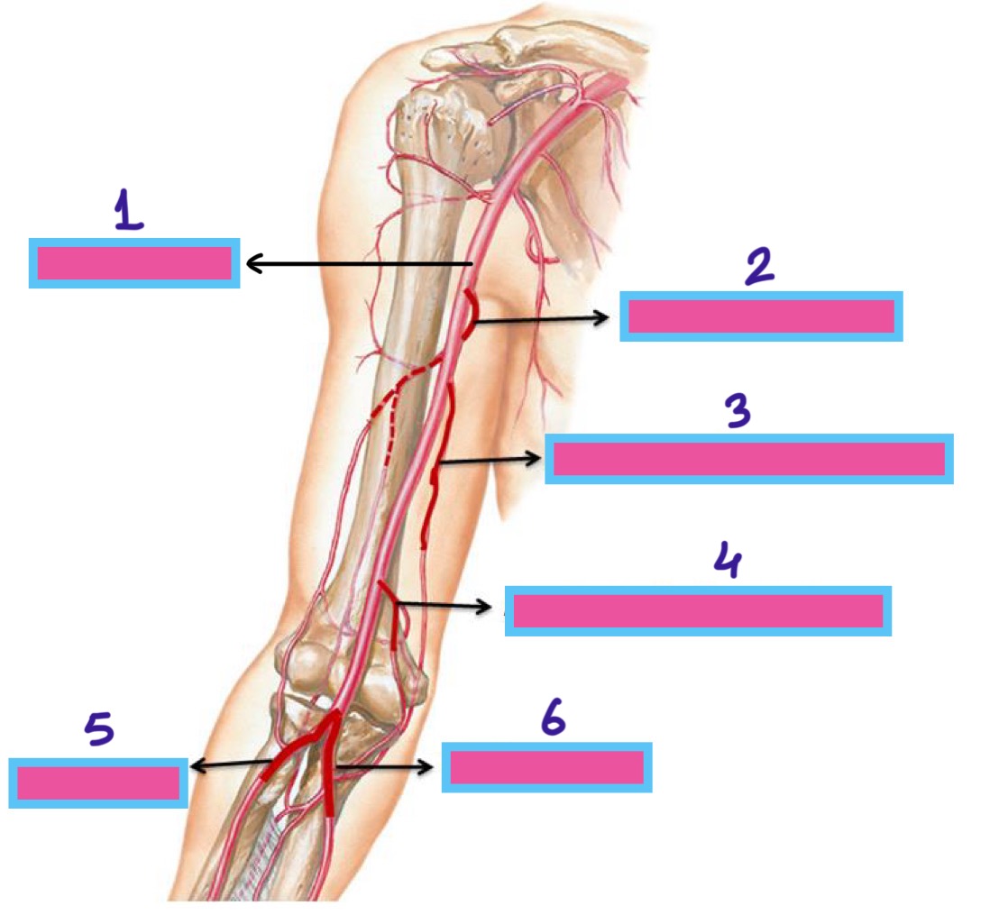 <p>1</p>