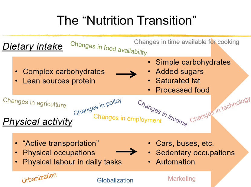 <p>changing dietary intake and physical activity </p>