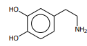 <p>[Alkaloids Compounds] reticuline is derived from</p>