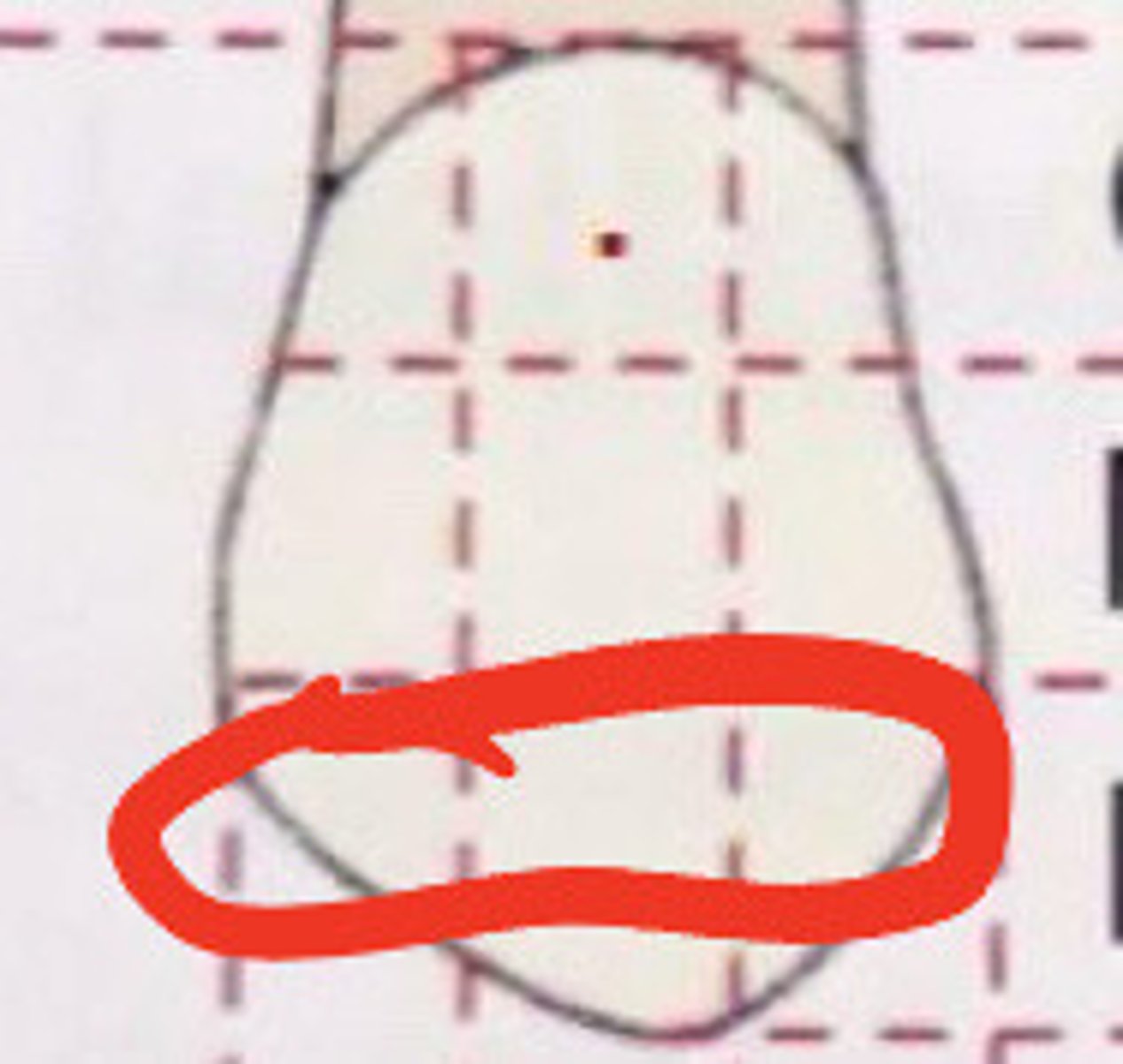 knowt flashcard image