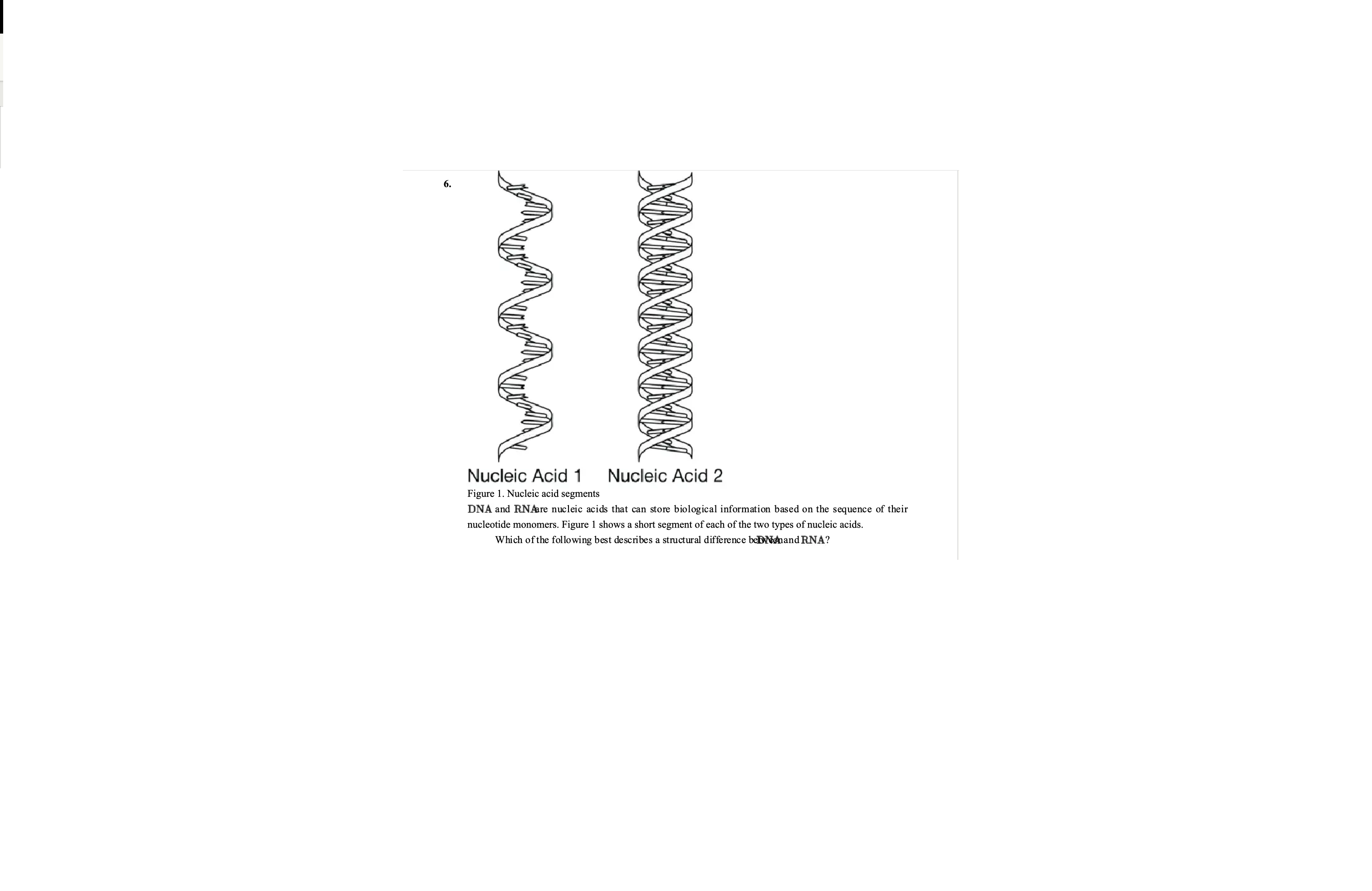 <p>DNA and RNAare nucleic acids that can store biological information based on the sequence of their nucleotide monomers. Figure 1 shows a short segment of each of the two types of nucleic acids.</p><p class="p1">Which of the following best describes a structural difference DNA and  RNA?</p>