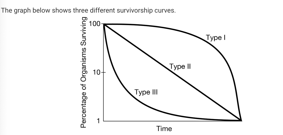 <p>A certain species of dinosaur laid large numbers of eggs, and the hatchlings had high mortality early in life. But if they survived, the young dinosaurs were able to grow at a rapid pace and disperse into the environment in order to thrive. Based on this information and the graph above, which of the following best characterizes this species of dinosaur?</p><p><strong>A) </strong>The dinosaurs were r-strategists and exhibited a Type I survivorship curve.</p><p><strong>B) </strong>The dinosaurs were r-strategists and exhibited a Type III survivorship curve</p><p><strong>C) </strong>The dinosaurs were K-strategists and exhibited a Type II survivorship curve.</p><p><strong>D) </strong>The dinosaurs were K-strategists and exhibited a Type I survivorship curve.</p>