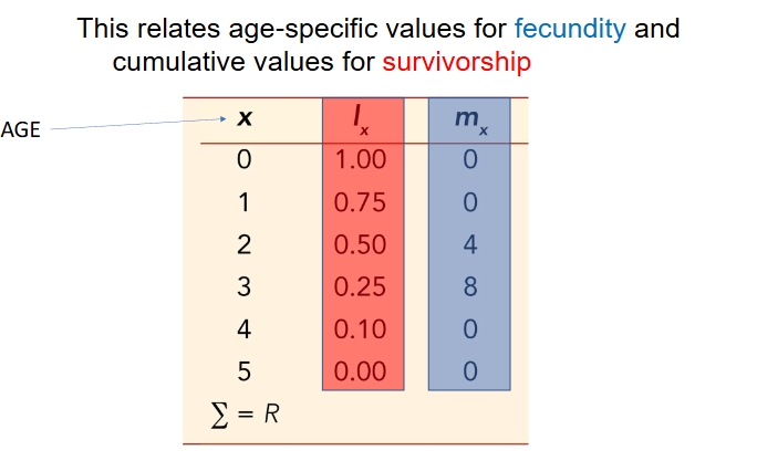 <p>summarize <strong>probability that an individual will survive</strong> <strong>and reproduce</strong> at any interval over its lifetime</p><ul><li><p>uses age-specific values for <span style="color: rgb(59, 143, 207);">fecundity (m<sub>x</sub>)&nbsp;</span>and cumulative values for <span style="color: rgb(216, 37, 37);">survivorship (l<sub>x</sub>)</span></p></li></ul><p></p>