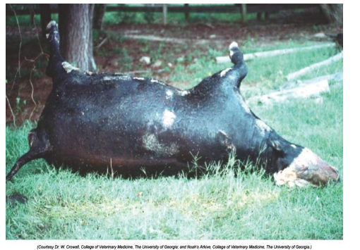 <p>What is this?</p>